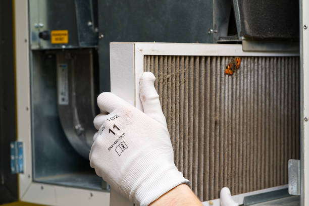 Best Air Filter Replacement Services in Champlin, MN