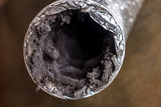 Best Industrial Air Duct Cleaning in Champlin, MN