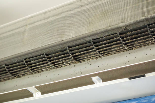 Best Ventilation System Cleaning in Champlin, MN